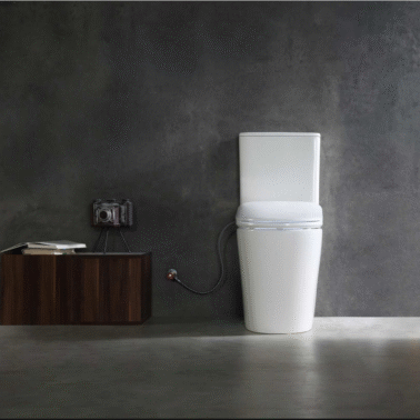 Smart Toilet1