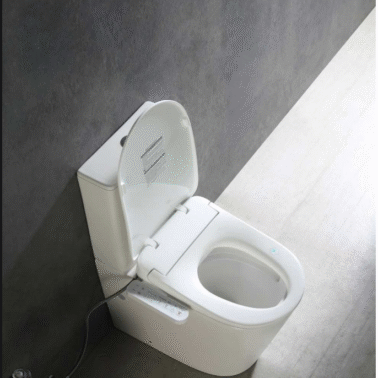 Smart Toilet2